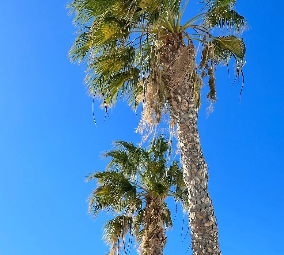 Casa Las Grietas De Lanzarote Tías